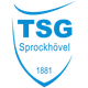 斯罗可候沃 Logo