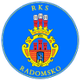 RKS雷多美高 Logo