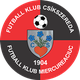 FK米耶尔库雷亚丘克 Logo