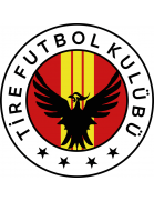 轮胎2021 Logo