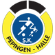 佩平亨 Logo