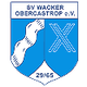 SV瓦塔 Logo