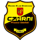 斯紮尼 Logo