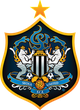 首尔联队 Logo