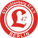 利希滕贝格47 Logo