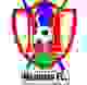 马舒贾足球俱乐部 Logo