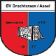 德罗特尔森 Logo