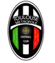 图卢兹大都会 Logo