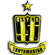 坦迪尔 Logo