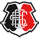 圣十字 Logo