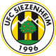 UFC锡岑海姆 Logo