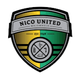 尼科联 Logo
