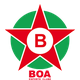 博阿 Logo